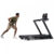 nordictrack t series 10 treadmill workout,nordictrack t series 10 treadmill for sale in europe